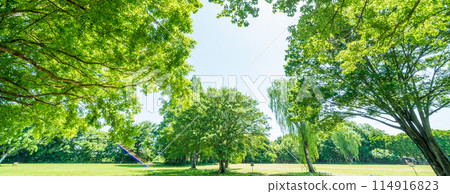 "Saitama Prefecture" Fresh greenery and eco-friendly image 114916823