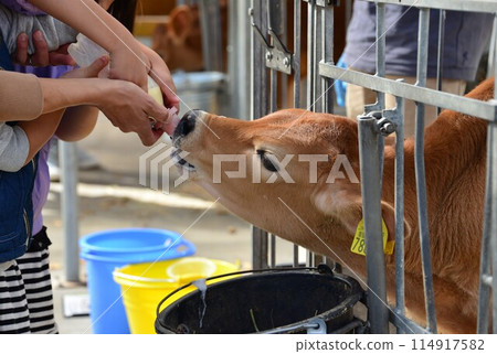 母乳哺育經驗@mar_lapin 母乳哺育經驗@mar_lapin 114917582