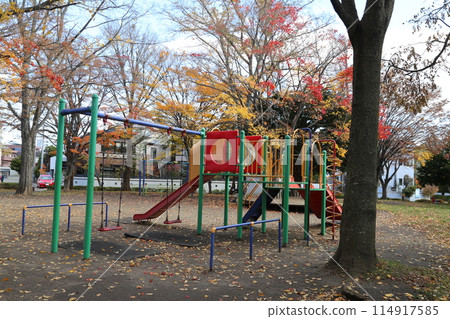 Autumn at Fukuzumi Ogawa Park, Toyohira Ward Autumn at Fukuzumi Ogawa Park, Toyohira Ward 114917585