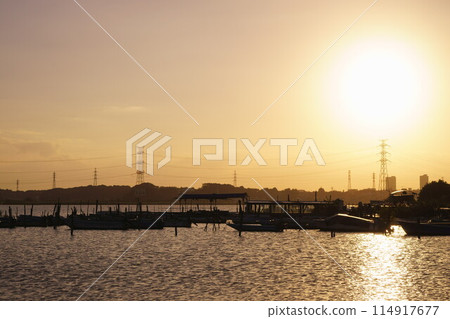 夕陽照耀下的手賀沼湖 114917677