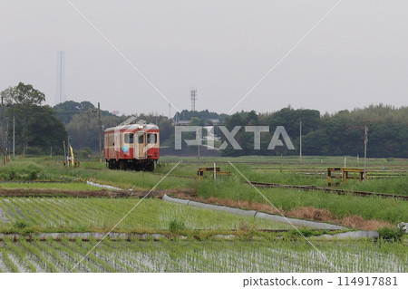 Kiha 205 初夏運行 114917881