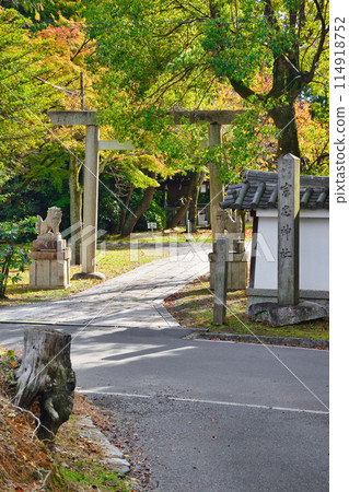 Kyoto Munetada Shrine: Imperial Gate with Autumn Leaves (Sakyo Ward, Kyoto City) 114918752