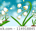 雪花蓮（手寫） 114918845