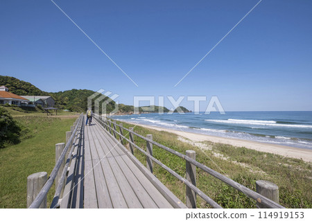 Uradome Coast: Cycling image of fresh greenery and early summer 114919153
