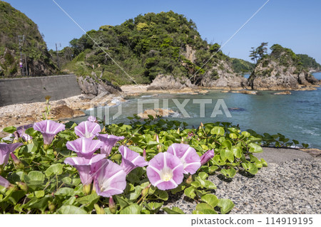 Uradome Coast: Cycling image of fresh greenery and early summer 114919195