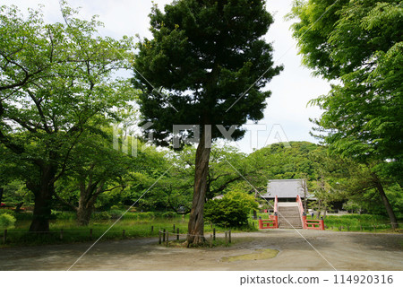 Shomyoji Temple Pure Land Style Garden Shomyoji Temple Pure Land Style Garden 114920316