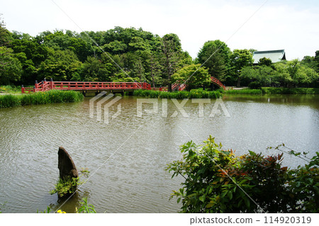 從稱名寺阿治池眺望的景色 從稱名寺阿治池眺望的景色 114920319