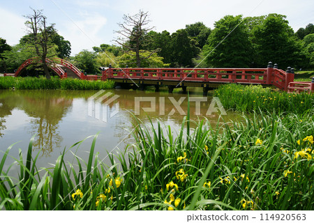 稱名寺 - 安治池的朱漆反橋和平橋 稱名寺 - 安治池的朱漆反橋和平橋 114920563
