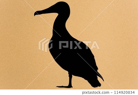 albatross silhouette, albatross silhouette black vector illustration 114920834
