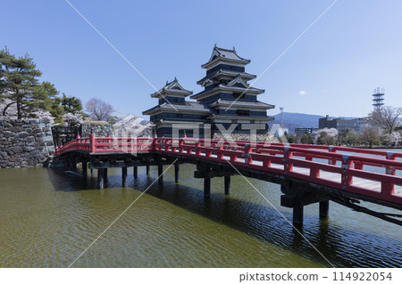 松本城堡和櫻花 114922054