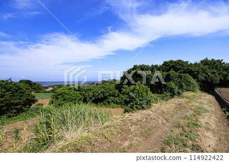 風景與藍天和綠色的田野 114922422