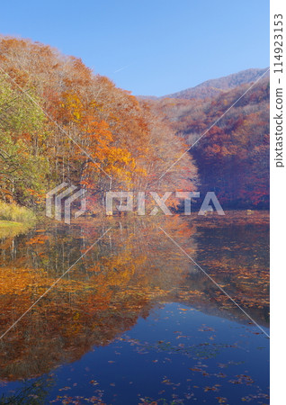 深秋的里盤台/馬澤澤 深秋的里盤台/馬澤澤 114923153