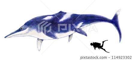 Temnodontosaurus - A large ichthyosaur from the Jurassic period, comparable in size to the Shonisaurus. 114923302