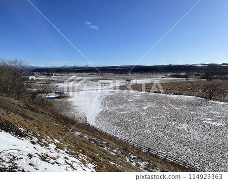 Hokkaido Niikappu Winter Thoroughbred Ginza 114923363