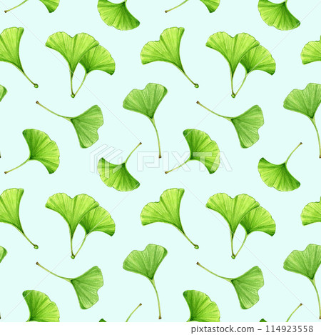 Ginkgo biloba leaves seamless pattern. Watercolor painted illustration. Hand drawn ginkgo tree foliage natural element. Medicinal plant green leaf seamless pattern Ginkgo biloba leaves seamless pattern. Watercolor painted illustration. Hand drawn ginkgo tree foliage natural element. Medicinal plant green leaf seamless pattern 114923558