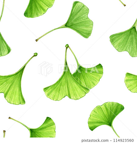 Ginkgo tree green leaf seamless pattern. Watercolor painted botanical illustration. Hand drawn ginkgo biloba leaf medicinal plant natural element seamless pattern. White background Ginkgo tree green leaf seamless pattern. Watercolor painted botanical illustration. Hand drawn ginkgo biloba leaf medicinal plant natural element seamless pattern. White background 114923560