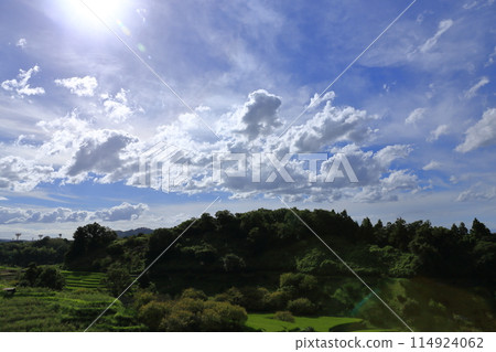 夏日天空中的梯田 114924062