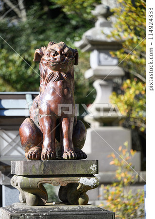 Oarai Isosaki Shrine Guardian Dogs Oarai Isosaki Shrine Guardian Dogs 114924333