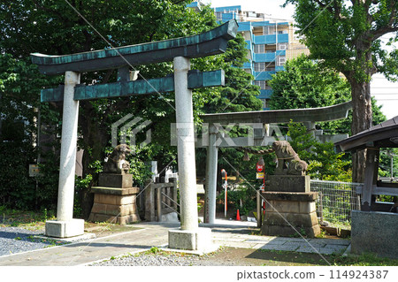 Torii gate of Hatogaya Hikawa Shrine [Kawaguchi City, Saitama Prefecture] 114924387