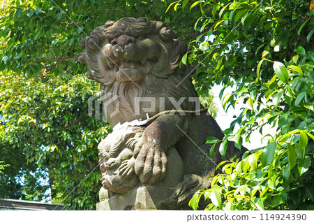 鳩谷冰河神社的守護犬【埼玉縣川口市】 114924390