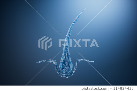 root, science, growing 114924433