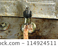 Oily gas valve 114924511