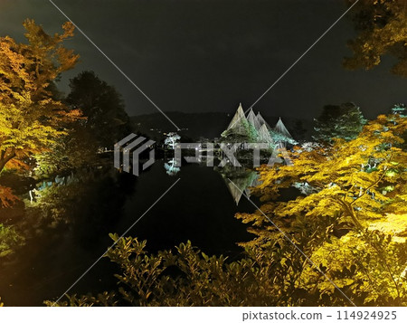 金澤兼六園 紅葉夜景 彩燈雪吊 114924925