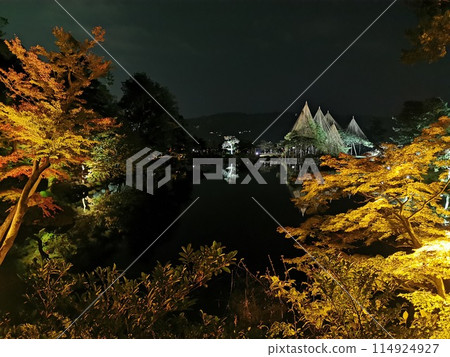 金澤兼六園 紅葉夜景 彩燈雪吊 金澤兼六園 紅葉夜景 彩燈雪吊 114924927