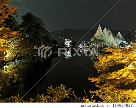 金澤兼六園 紅葉夜景 彩燈雪吊 金澤兼六園 紅葉夜景 彩燈雪吊 114924928