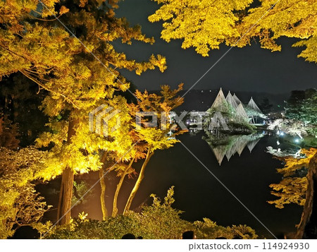 Kanazawa Kenrokuen Autumn leaves night view light up Yukitsuri Kanazawa Kenrokuen Autumn leaves night view light up Yukitsuri 114924930