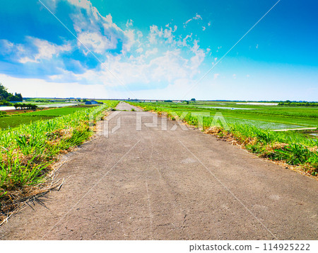一條直路 一條直路 114925222