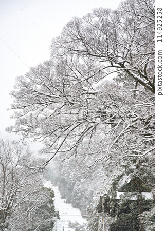 姬群八幡宮雪景 2023 年 1 月 114925258