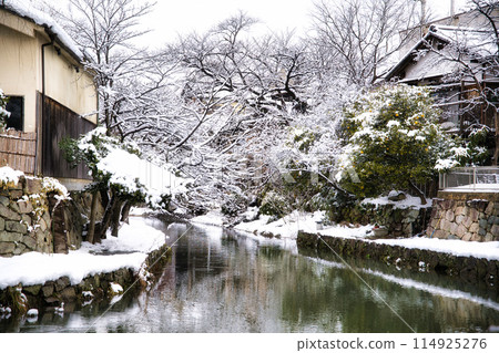 Snow Scene at Hachimanbori, January 2023 Snow Scene at Hachimanbori, January 2023 114925276