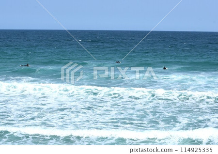 衝浪 衝浪 114925335