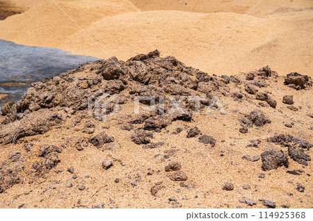 Making compost using rice husks Making compost using rice husks 114925368