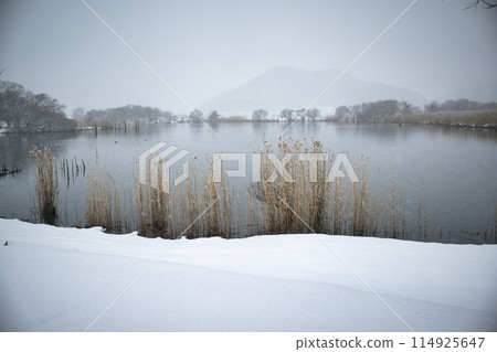 與雪的風景 與雪的風景 114925647