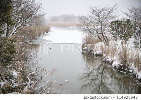 與雪的風景 與雪的風景 114925648