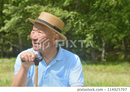 Seniors walking in the greenery using walking sticks Seniors walking in the greenery using walking sticks 114925707