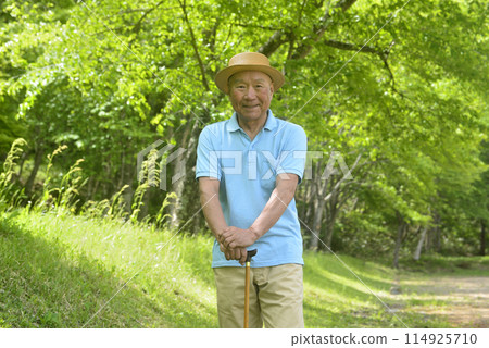 Seniors walking in the greenery using walking sticks Seniors walking in the greenery using walking sticks 114925710