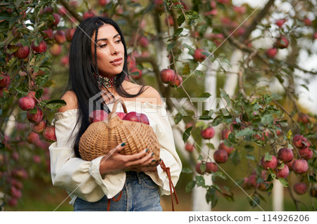 Cute farmer woman with freshly harvested apples in handbasket. Portrait of thoughtful lady in lovely white blouse picking ripe fruits in early fall season outdoors. Agriculture, gardening concept Cute farmer woman with freshly harvested apples in handbasket. Portrait of thoughtful lady in lovely white blouse picking ripe fruits in early fall season outdoors. Agriculture, gardening concept 114926206