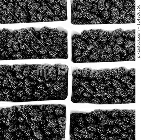 Blackberry Blackberry 114926556