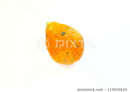 南瓜 南瓜 南瓜 南瓜 南瓜 南瓜 南瓜 南瓜 114926620