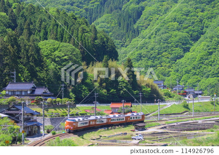 Hakubi Line 273 Series 114926796