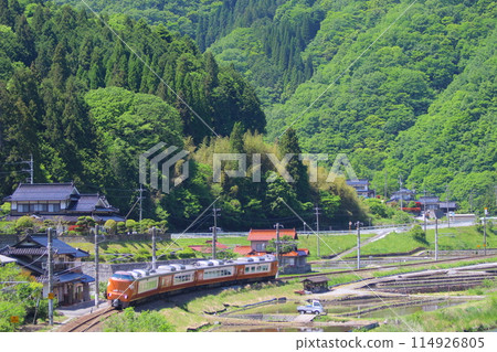 Hakubi Line 273 Series Hakubi Line 273 Series 114926805