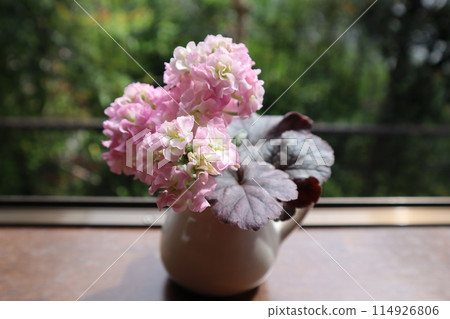 Heuchera and stock flowers in a vase 114926806