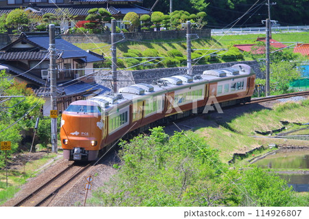 Hakubi Line 273 Series 114926807