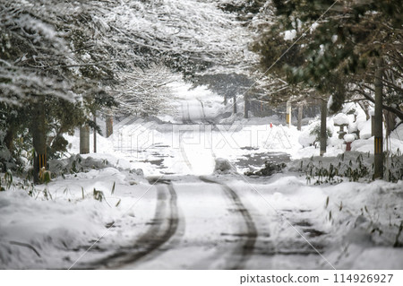 Snowy season tracks Snowy season tracks 114926927