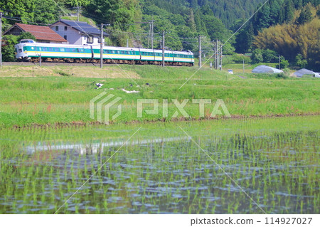 Hakubi Line 381 series 114927027