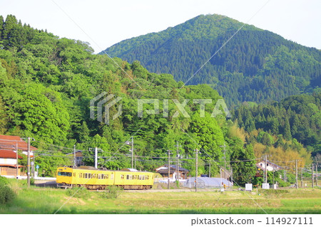 Hakubi Line 115 series 114927111