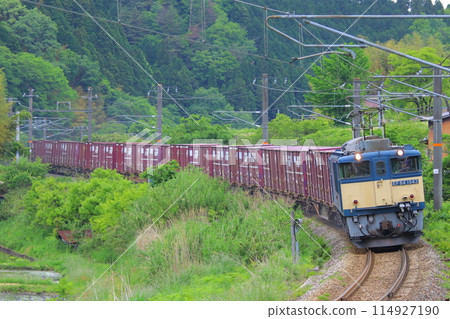 Hakubi Line EF64 type 114927190